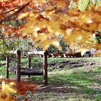 Unser Spielebereich mit dem Knirpsen-Quirl im Herbst